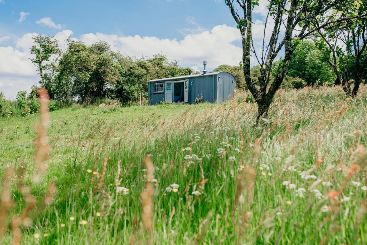 Blatchford Briar - Award Winning Private Shephards Huts With Their Own Secluded Hot Tubs Milton Abbot Ngoại thất bức ảnh
